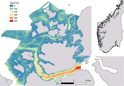 Achieving Reliable Estimates of the Spatial Distribution of Kelp Biomass